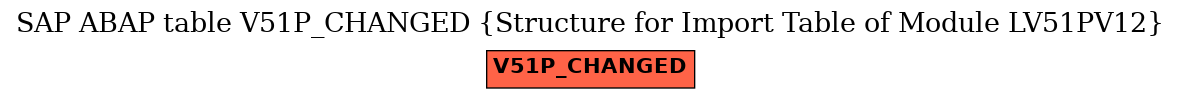 E-R Diagram for table V51P_CHANGED (Structure for Import Table of Module LV51PV12)