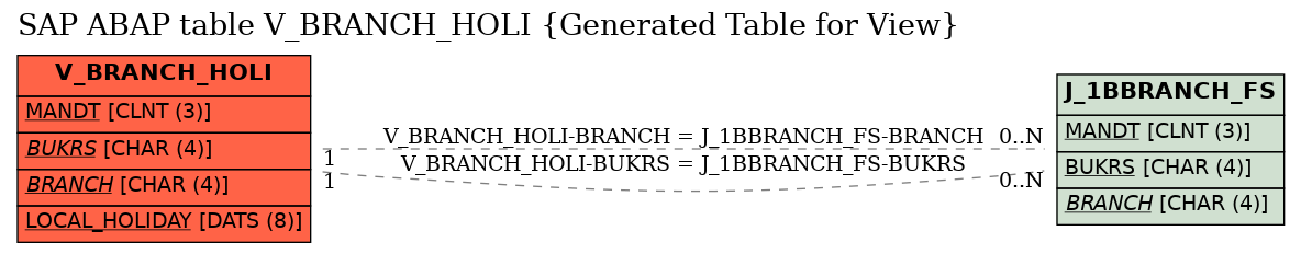 E-R Diagram for table V_BRANCH_HOLI (Generated Table for View)