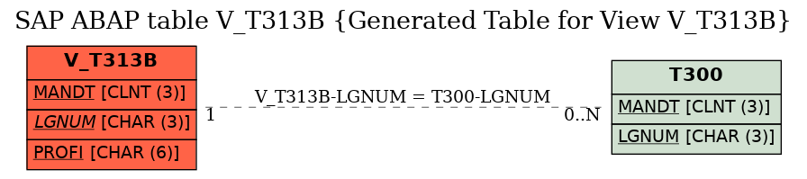 E-R Diagram for table V_T313B (Generated Table for View V_T313B)