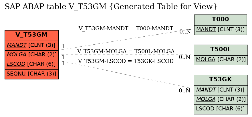 E-R Diagram for table V_T53GM (Generated Table for View)