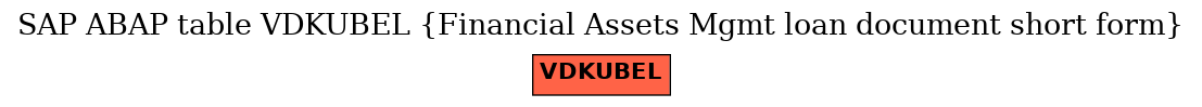 E-R Diagram for table VDKUBEL (Financial Assets Mgmt loan document short form)