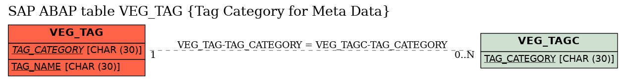 E-R Diagram for table VEG_TAG (Tag Category for Meta Data)