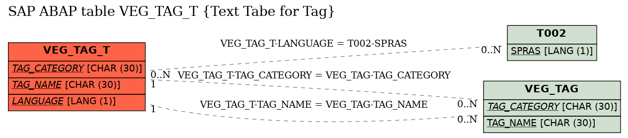 E-R Diagram for table VEG_TAG_T (Text Tabe for Tag)