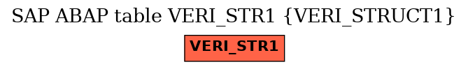 E-R Diagram for table VERI_STR1 (VERI_STRUCT1)