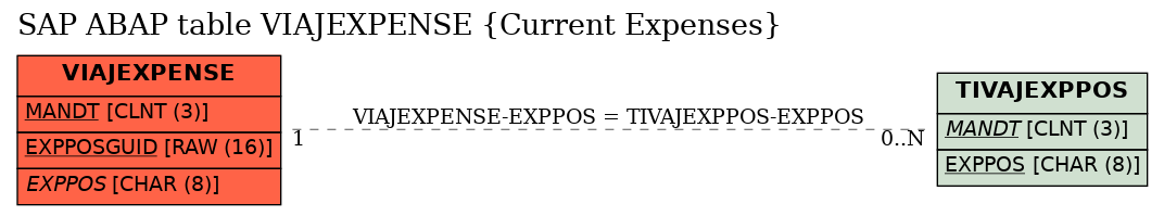 E-R Diagram for table VIAJEXPENSE (Current Expenses)