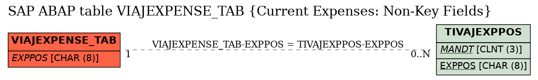 E-R Diagram for table VIAJEXPENSE_TAB (Current Expenses: Non-Key Fields)