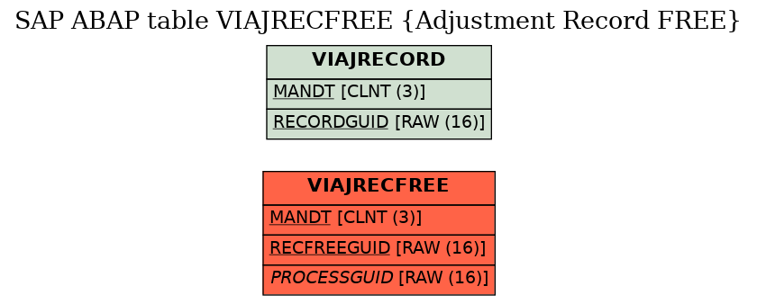 E-R Diagram for table VIAJRECFREE (Adjustment Record FREE)