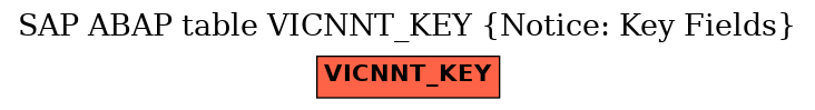 E-R Diagram for table VICNNT_KEY (Notice: Key Fields)