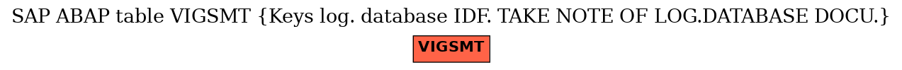 E-R Diagram for table VIGSMT (Keys log. database IDF. TAKE NOTE OF LOG.DATABASE DOCU.)