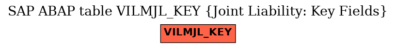 E-R Diagram for table VILMJL_KEY (Joint Liability: Key Fields)