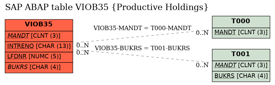 E-R Diagram for table VIOB35 (Productive Holdings)