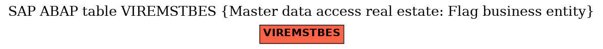 E-R Diagram for table VIREMSTBES (Master data access real estate: Flag business entity)