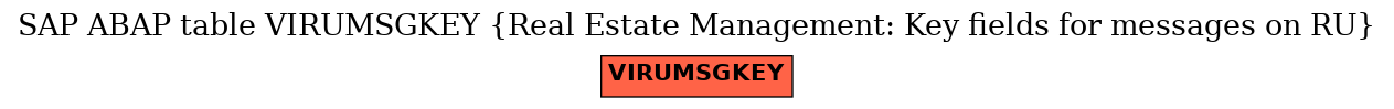 E-R Diagram for table VIRUMSGKEY (Real Estate Management: Key fields for messages on RU)