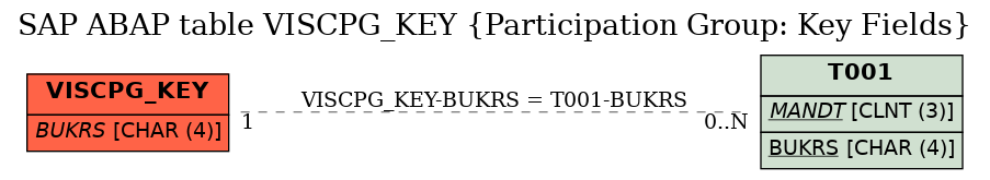 E-R Diagram for table VISCPG_KEY (Participation Group: Key Fields)