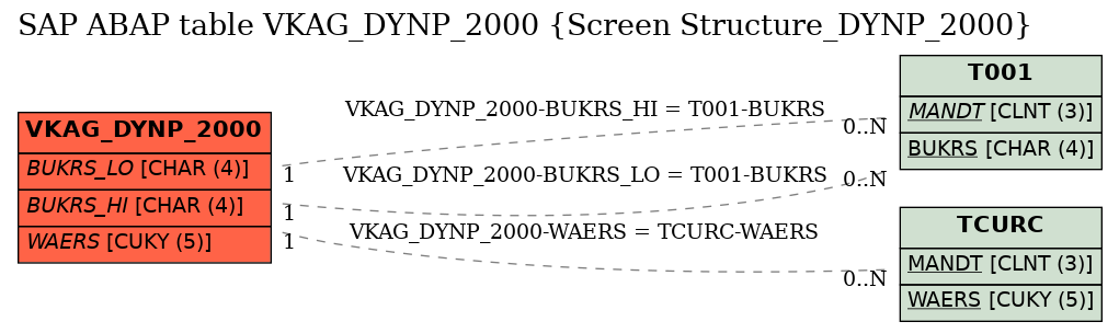 E-R Diagram for table VKAG_DYNP_2000 (Screen Structure_DYNP_2000)