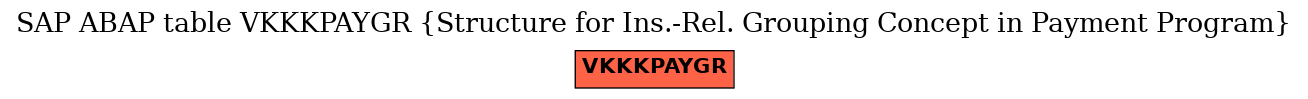 E-R Diagram for table VKKKPAYGR (Structure for Ins.-Rel. Grouping Concept in Payment Program)