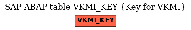 E-R Diagram for table VKMI_KEY (Key for VKMI)