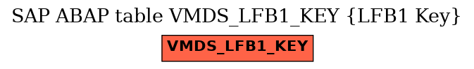 E-R Diagram for table VMDS_LFB1_KEY (LFB1 Key)