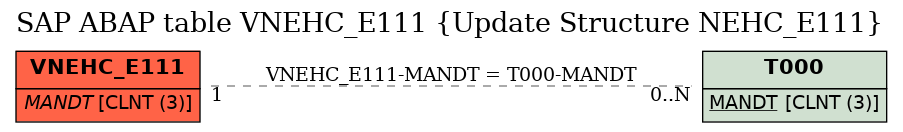 E-R Diagram for table VNEHC_E111 (Update Structure NEHC_E111)