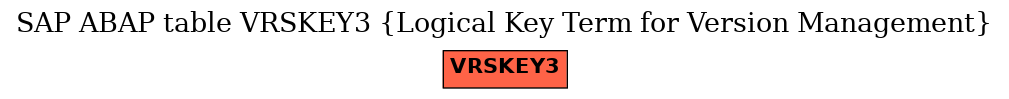 E-R Diagram for table VRSKEY3 (Logical Key Term for Version Management)