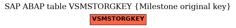 E-R Diagram for table VSMSTORGKEY (Milestone original key)