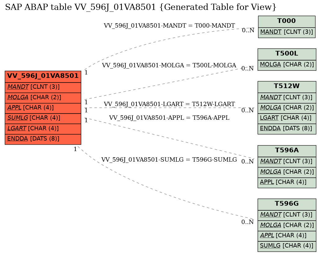 E-R Diagram for table VV_596J_01VA8501 (Generated Table for View)