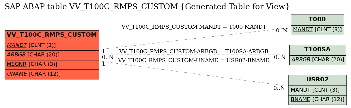 E-R Diagram for table VV_T100C_RMPS_CUSTOM (Generated Table for View)