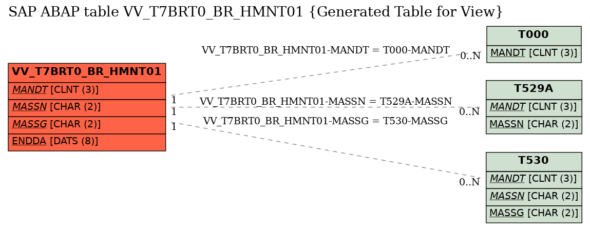 E-R Diagram for table VV_T7BRT0_BR_HMNT01 (Generated Table for View)