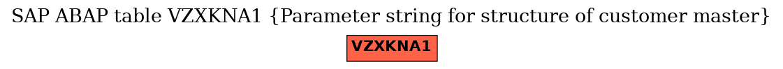 E-R Diagram for table VZXKNA1 (Parameter string for structure of customer master)