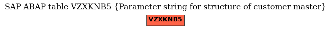 E-R Diagram for table VZXKNB5 (Parameter string for structure of customer master)