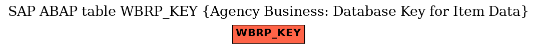 E-R Diagram for table WBRP_KEY (Agency Business: Database Key for Item Data)