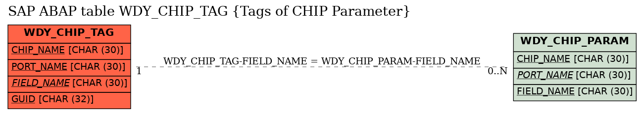 E-R Diagram for table WDY_CHIP_TAG (Tags of CHIP Parameter)