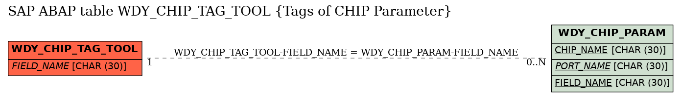 E-R Diagram for table WDY_CHIP_TAG_TOOL (Tags of CHIP Parameter)