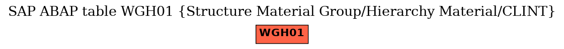 E-R Diagram for table WGH01 (Structure Material Group/Hierarchy Material/CLINT)