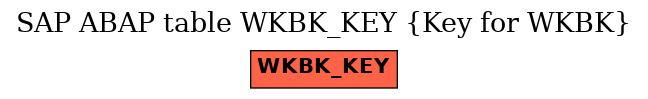E-R Diagram for table WKBK_KEY (Key for WKBK)