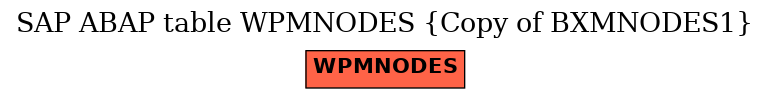 E-R Diagram for table WPMNODES (Copy of BXMNODES1)