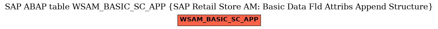 E-R Diagram for table WSAM_BASIC_SC_APP (SAP Retail Store AM: Basic Data Fld Attribs Append Structure)