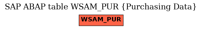 E-R Diagram for table WSAM_PUR (Purchasing Data)