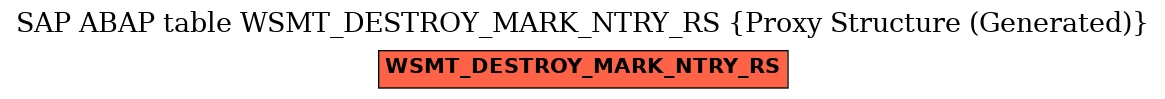 E-R Diagram for table WSMT_DESTROY_MARK_NTRY_RS (Proxy Structure (Generated))