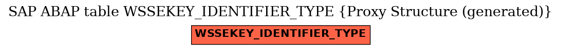 E-R Diagram for table WSSEKEY_IDENTIFIER_TYPE (Proxy Structure (generated))