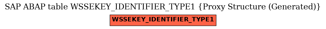 E-R Diagram for table WSSEKEY_IDENTIFIER_TYPE1 (Proxy Structure (Generated))