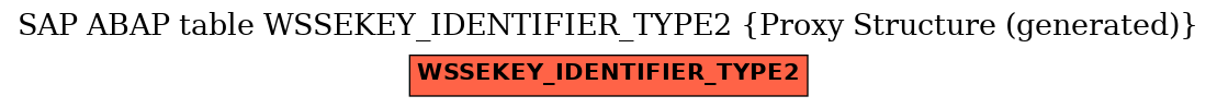 E-R Diagram for table WSSEKEY_IDENTIFIER_TYPE2 (Proxy Structure (generated))