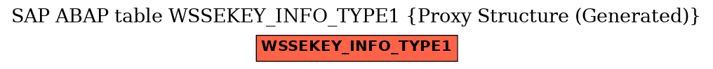 E-R Diagram for table WSSEKEY_INFO_TYPE1 (Proxy Structure (Generated))
