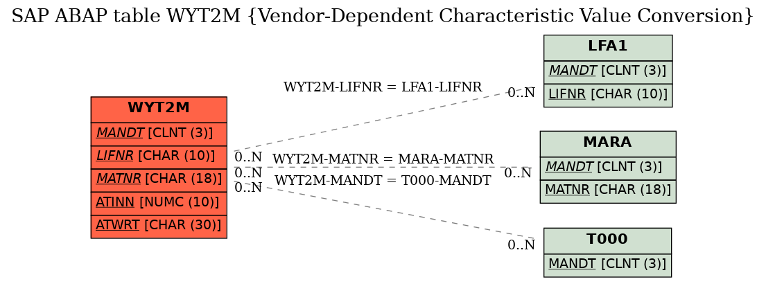 E-R Diagram for table WYT2M (Vendor-Dependent Characteristic Value Conversion)