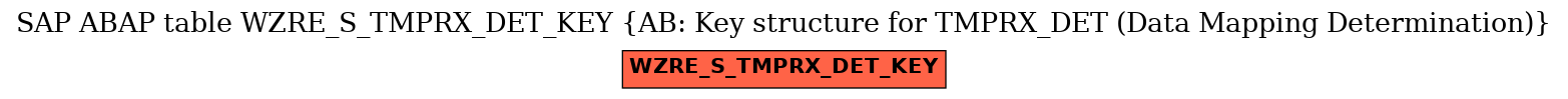 E-R Diagram for table WZRE_S_TMPRX_DET_KEY (AB: Key structure for TMPRX_DET (Data Mapping Determination))