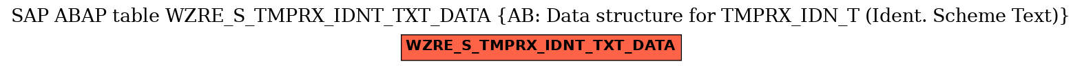 E-R Diagram for table WZRE_S_TMPRX_IDNT_TXT_DATA (AB: Data structure for TMPRX_IDN_T (Ident. Scheme Text))