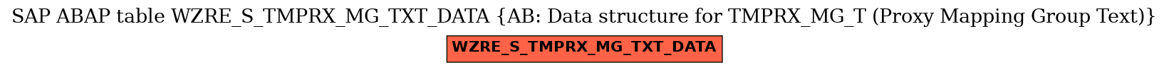E-R Diagram for table WZRE_S_TMPRX_MG_TXT_DATA (AB: Data structure for TMPRX_MG_T (Proxy Mapping Group Text))