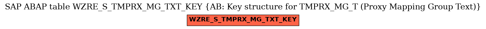 E-R Diagram for table WZRE_S_TMPRX_MG_TXT_KEY (AB: Key structure for TMPRX_MG_T (Proxy Mapping Group Text))