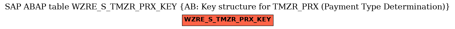 E-R Diagram for table WZRE_S_TMZR_PRX_KEY (AB: Key structure for TMZR_PRX (Payment Type Determination))